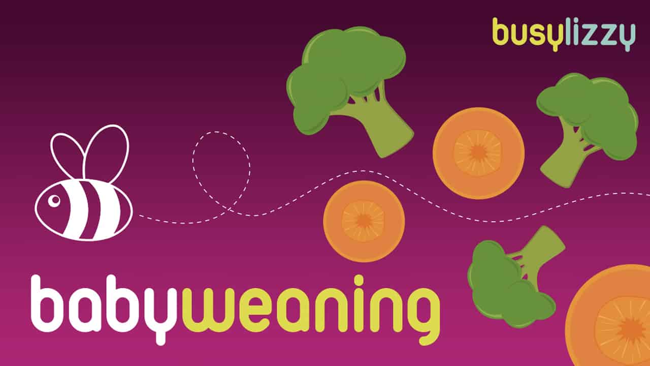 weaning_workshop